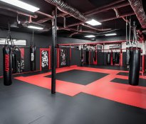 Dissolution Elite Training Facility - Mixed Martial Arts Gym, Las Vegas